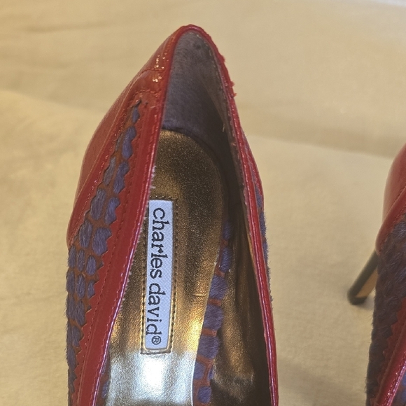 Charles David Red and Purple Heels Elegant Design - Picture 7 of 12